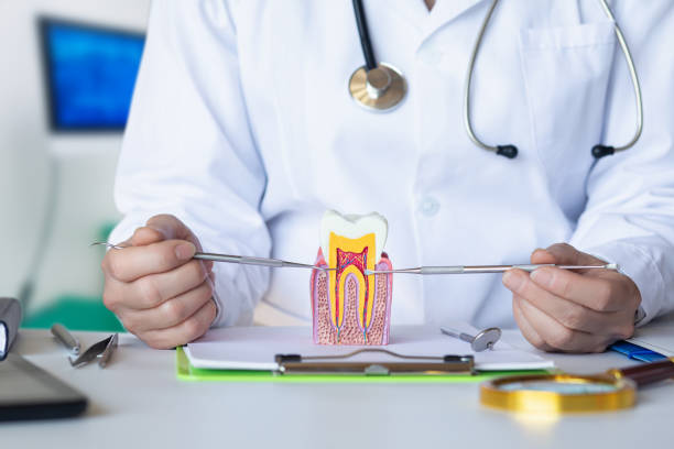 Best Emergency Dental Care for Broken or Chipped Teeth in Chicago Heights, IL